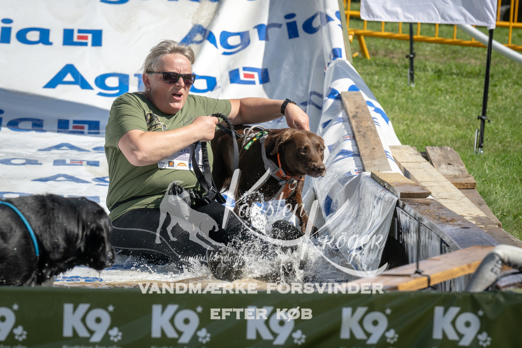 1145_ZZ93894 | kk-dogfotos