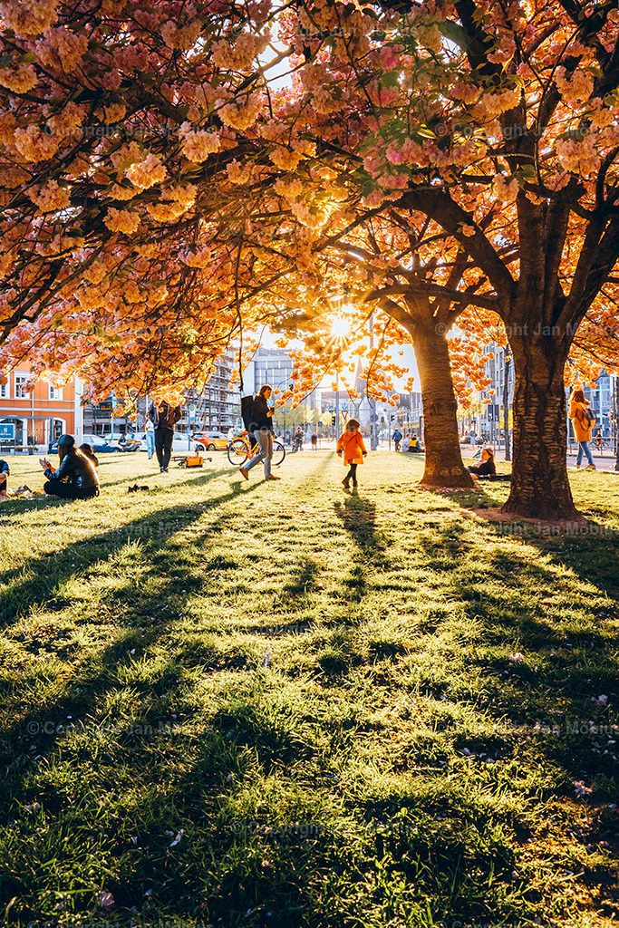 _DSC6089 | Leipzig Wandbilder Drucke Prints Leinwand Stadtmotive Leipzig Fotosdruck Kunstdrucke Bilder Leipzig Stadtansichten Acrylglasbilder Leipzig Wanddeko Fine Art Prints Wandbilder Büro Leipzig Bilder Praxis Zuhause Bilderdruck Poster Posterlounge Kunstdrucke - Realisiert mit Pictrs.com