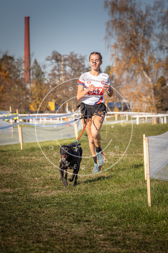 CaniXpix_0L8A7704 | Hundefotografie, Tierfotograf, Pfotenfotografie, Fotoshooting Hund, Hunde Portrait, Hundesport, Hundeportraits, Heideshooting, Hunde, Sportfotograf, Hundefotograf, Turnierhundsport, THS,  - Realisiert mit Pictrs.com