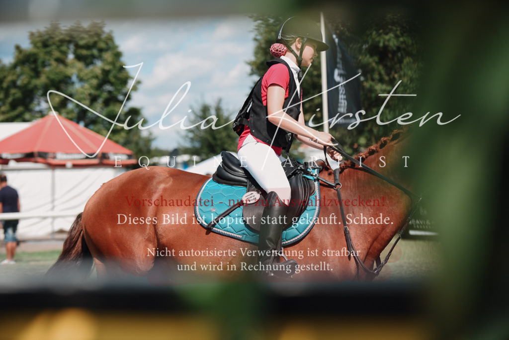 DSC_5766 | Pferde- und Turnierfotografie in Westsachsen. Pferdeportraits, Auftragszeichnungen und intuitive Kunst.