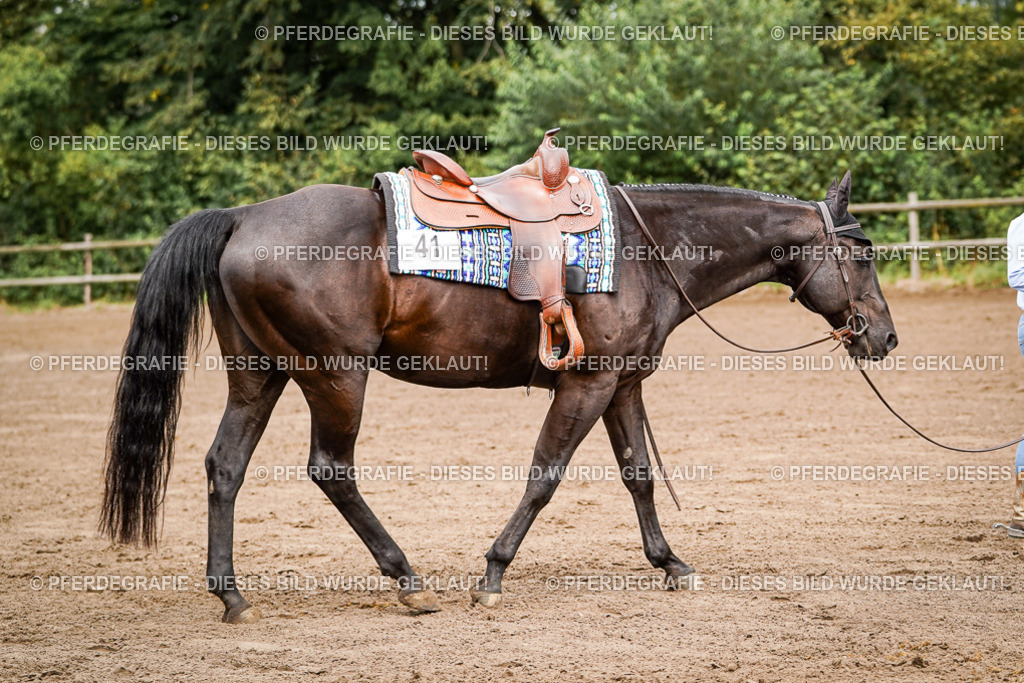 DSC06479 | Pferdegrafie