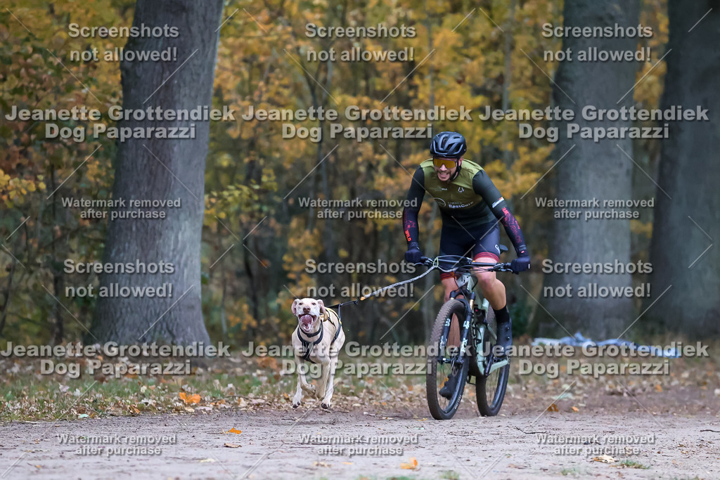 Dog Paparazzi - SD CaniX Championship 2025-51 | Dog Paparazzi Jeanette Grottendiek Fotografie & Videografie - Realisiert mit Pictrs.com