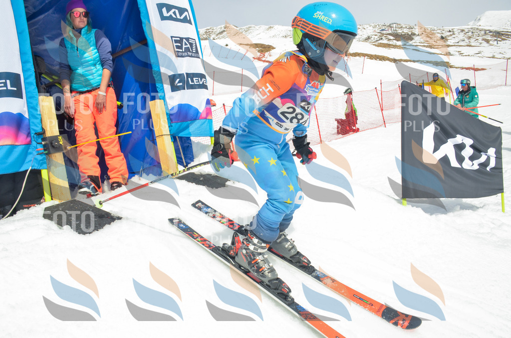 _ELE7992 | holidayphoto