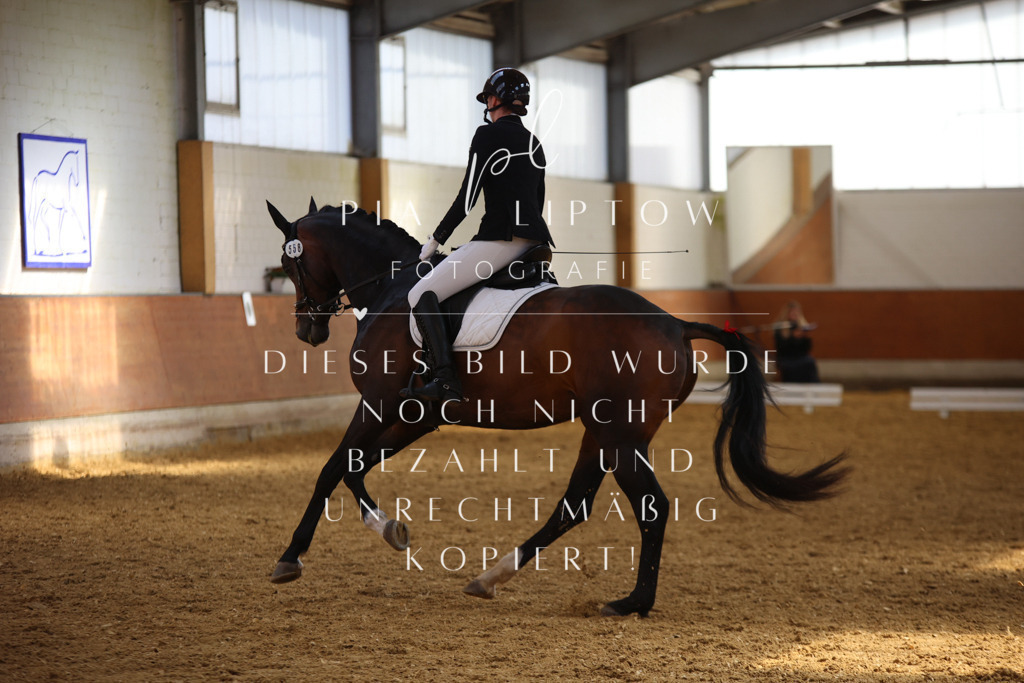 IMGT4334 | pl-fotografie