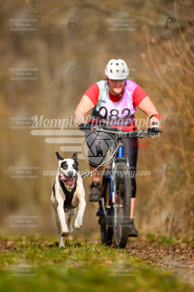 MompixPhotography_Schwabentrail2024_Bike-3 | PayLife