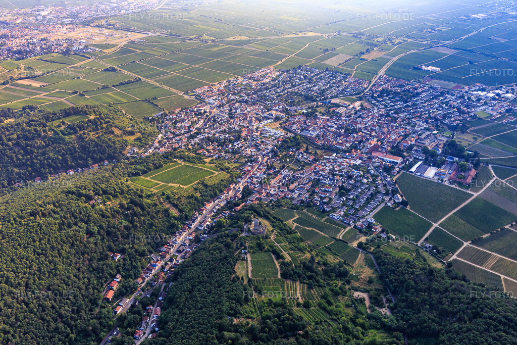 Luftbild: Ortsansicht aus Südwesten in Wachenheim an der Weinstraße im Bundesland Rheinland-Pfalz in Deutschland. Foto: IMG_108857.jpg vom 15.07.2018 durch Werner Riehm/FLY-FOTO.de