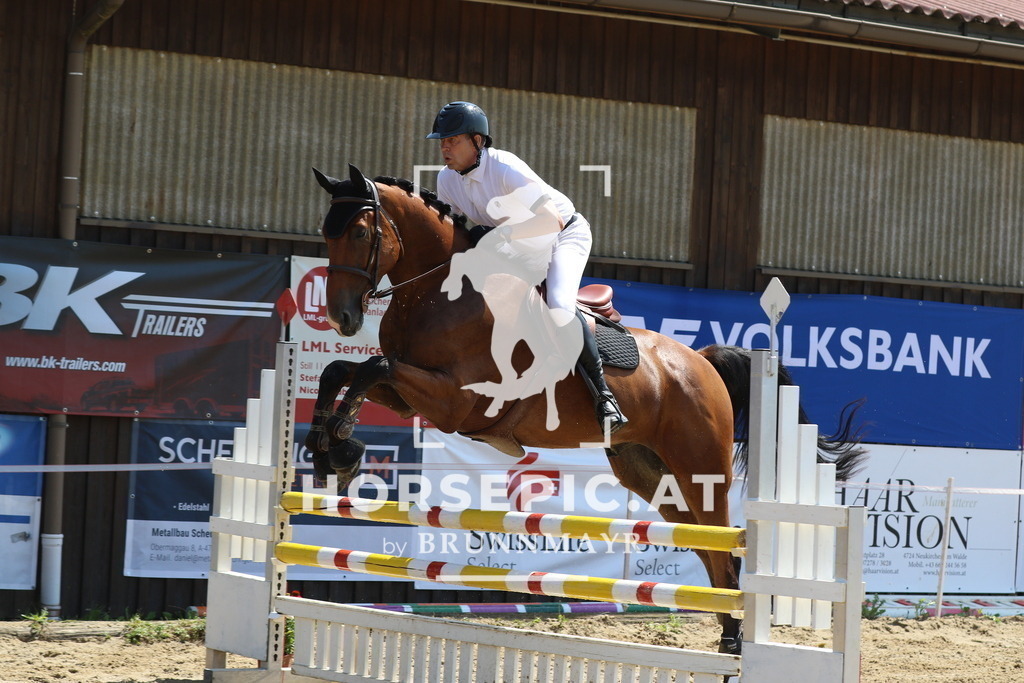 7V2A3265 | Willkommen bei Brunnmayr - Design & Fotografie – Ihrem Spezialisten für Reitturniere und Pferdeveranstaltungen in Oberösterreich, Salzburg und Bayern! Seit über 17 Jahren sind wir leidenschaftlich dabei.