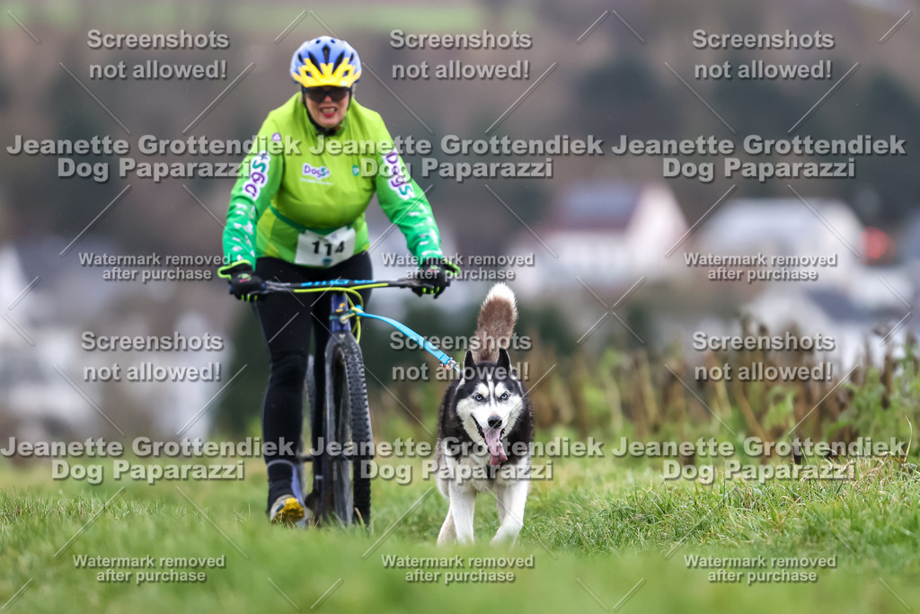 Dog Paparazzi - Herkules Race  2025-41 | Dog Paparazzi Jeanette Grottendiek Fotografie & Videografie