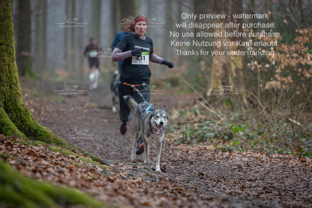 Canix_So-76 | stephaniefillaphotographie - Realisiert mit Pictrs.com