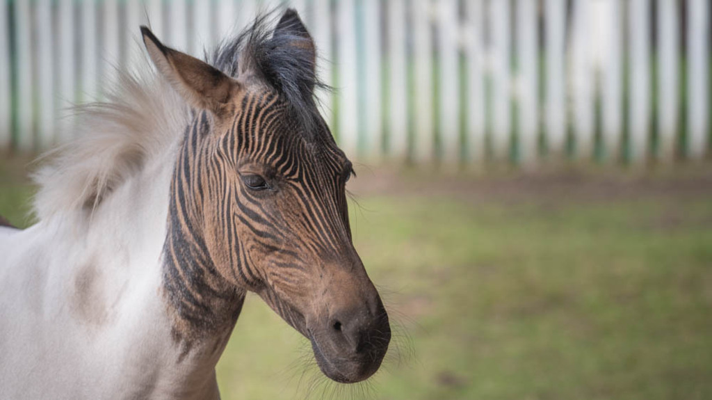 Stukenbrock, Deutschland | Die schönsten Bilder für Ihre Räume online bestellen! In unseren Bildergalerien findet Sie alles was es für Ihre Räume braucht. Lassen Sie sich überraschen ☺️ - Realisiert mit Pictrs.com
