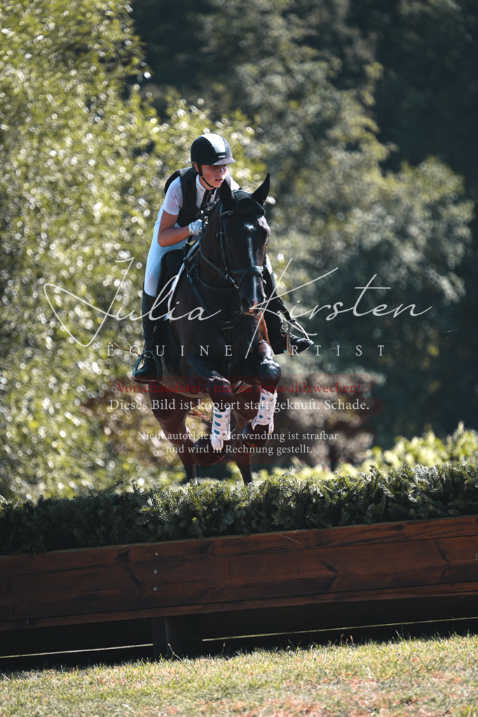 DSC_8362 | Pferde- und Turnierfotografie in Westsachsen. Pferdeportraits, Auftragszeichnungen und intuitive Kunst.