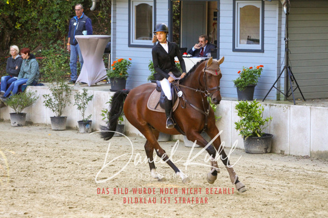 DKP42874 | Turniersportfotografie; Pferdefotografie; Dressurfotografie