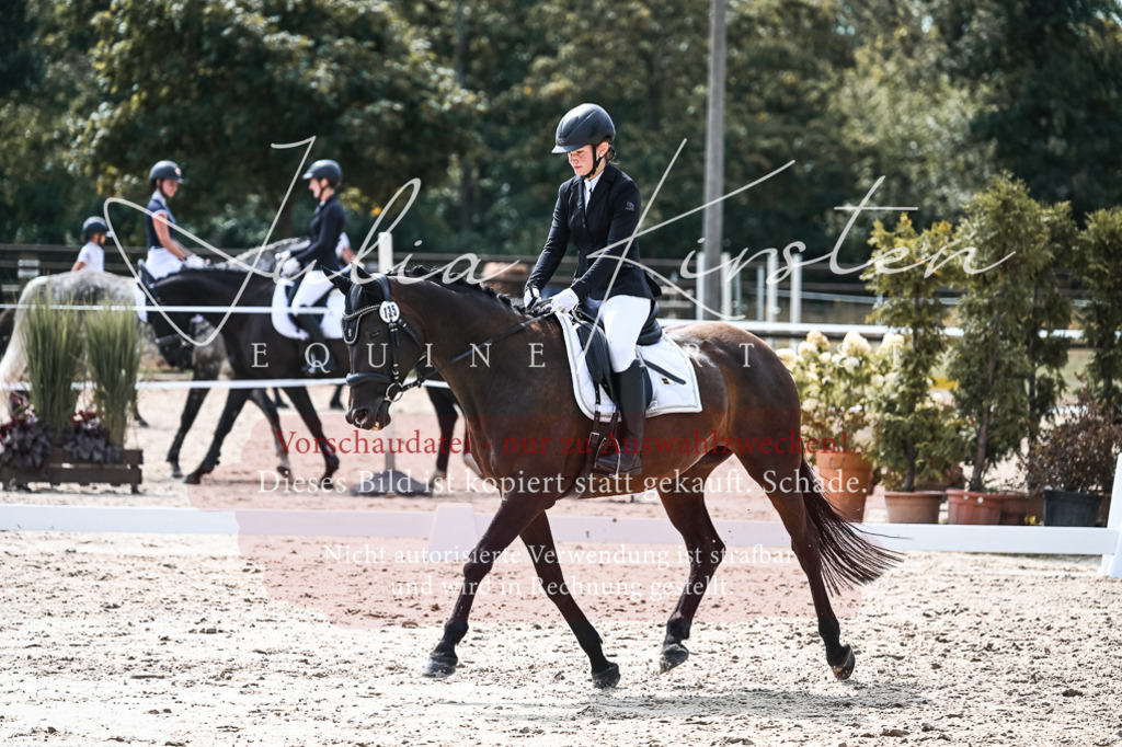 DSC_5284 | Pferde- und Turnierfotografie in Westsachsen. Pferdeportraits, Auftragszeichnungen und intuitive Kunst.