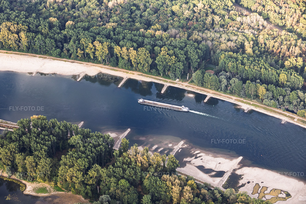 Luftbild: Leeres Frachtschiff bei Niedrigwasser am Rhein zwischen Hördter Rheinaue und Dettenheim in Hördt im Bundesland Rheinland-Pfalz in Deutschland. – Foto: IMG_158422.jpg vom 06.08.2026 durch Werner Riehm/FLY-FOTO.de – Auflösung des Originals: 6000 x 4000 px