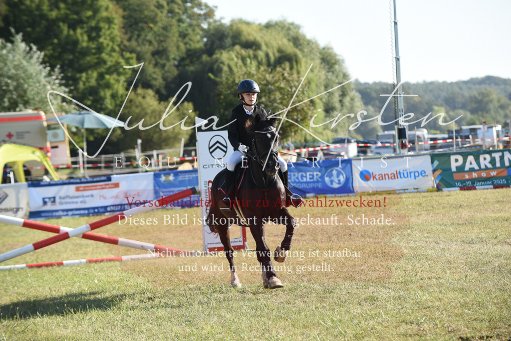 DSC_5530 | Pferde- und Turnierfotografie in Westsachsen. Pferdeportraits, Auftragszeichnungen und intuitive Kunst.