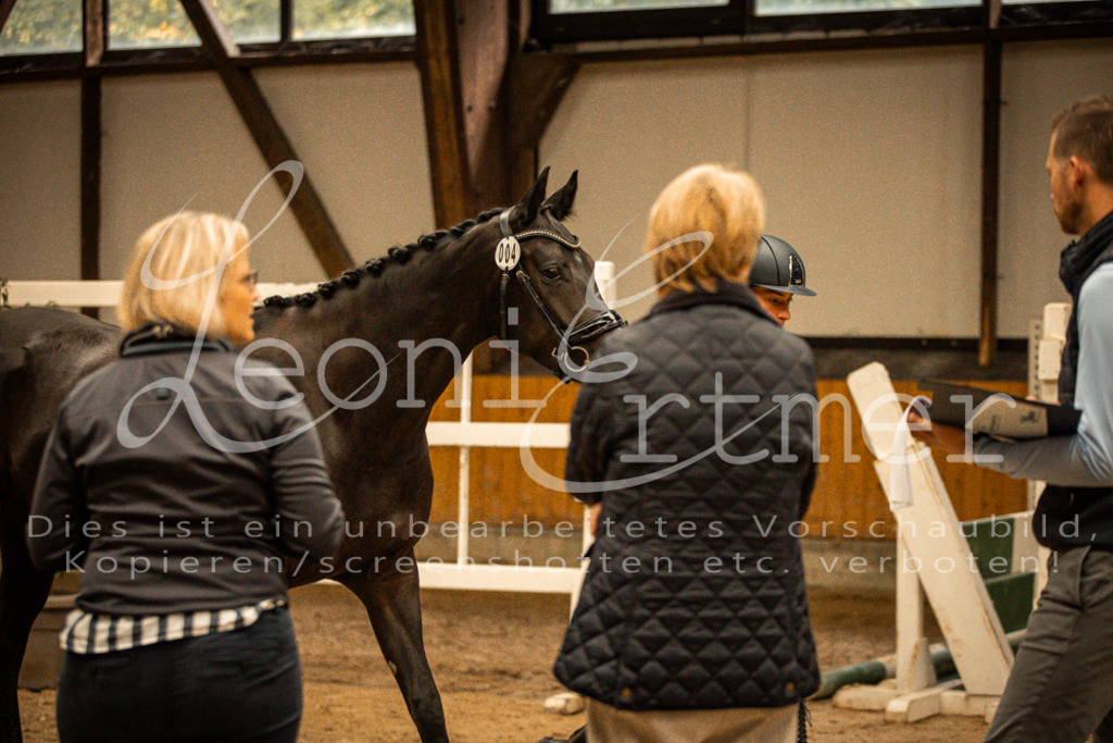 1FS_L00116 | Leoni Ertmer Photography - Realisiert mit Pictrs.com