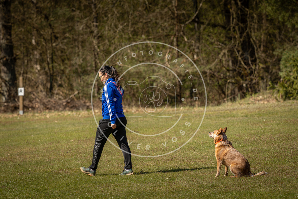 Pfotenfotografie_DV3A0903 | Hundefotografie, Tierfotograf, Pfotenfotografie, Fotoshooting Hund, Hunde Portrait, Hundesport, Hundeportraits, Heideshooting, Hunde, Sportfotograf, Hundefotograf, Turnierhundsport, THS,  - Realisiert mit Pictrs.com