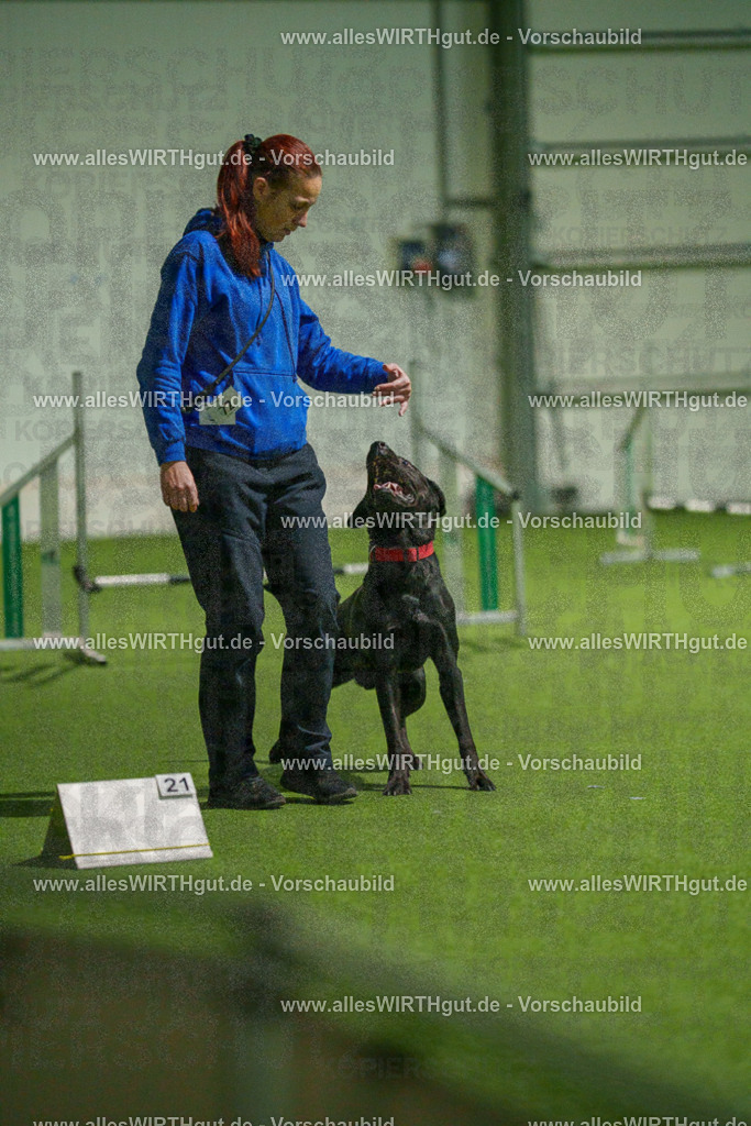 7R508479 | Professionelle Tierfotografie in Mönchengladbach von Daniel Wirth (allesWIRTHgut). Liebevolle & natürliche Bilder von Hunden & Katzen für unvergessliche Erinnerungen.