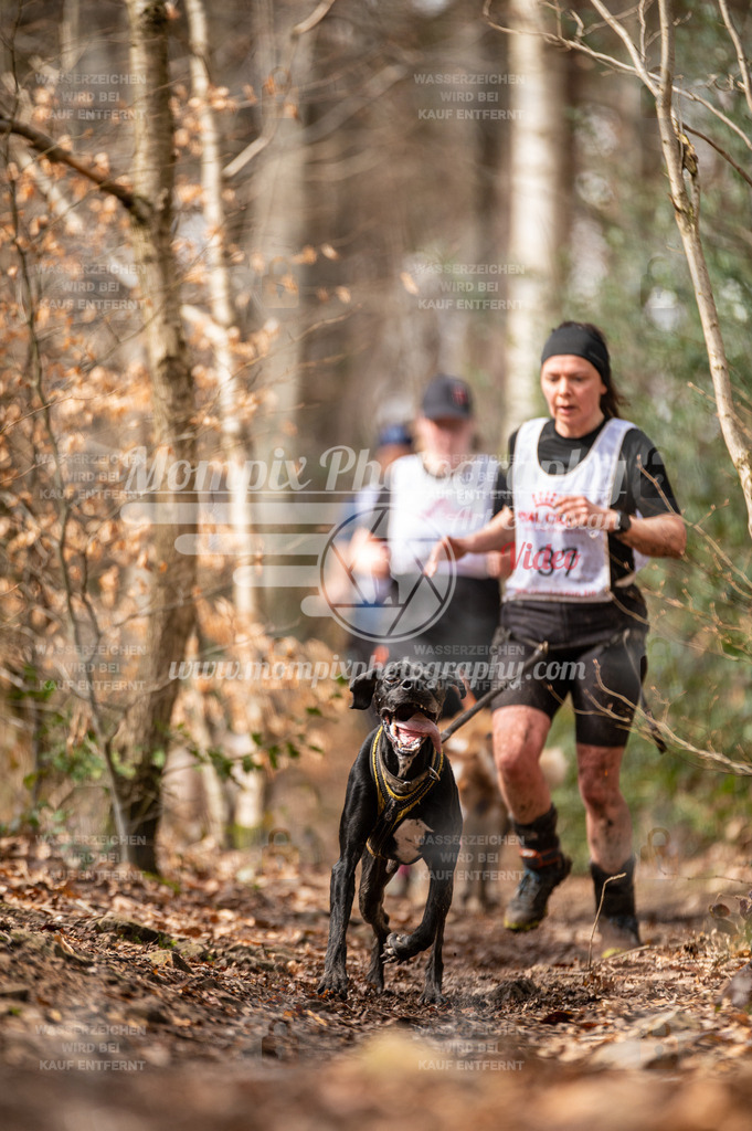 SPA_2023_DIM_CCK-152 | PayLife