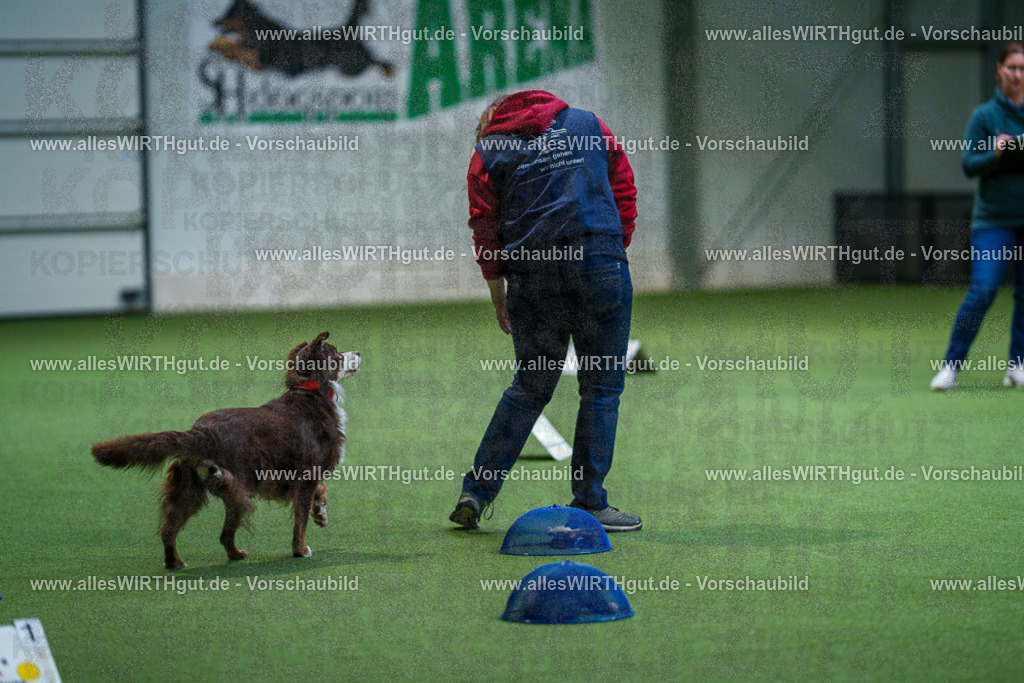 7R506111 | Professionelle Tierfotografie in Mönchengladbach von Daniel Wirth (allesWIRTHgut). Liebevolle & natürliche Bilder von Hunden & Katzen für unvergessliche Erinnerungen.