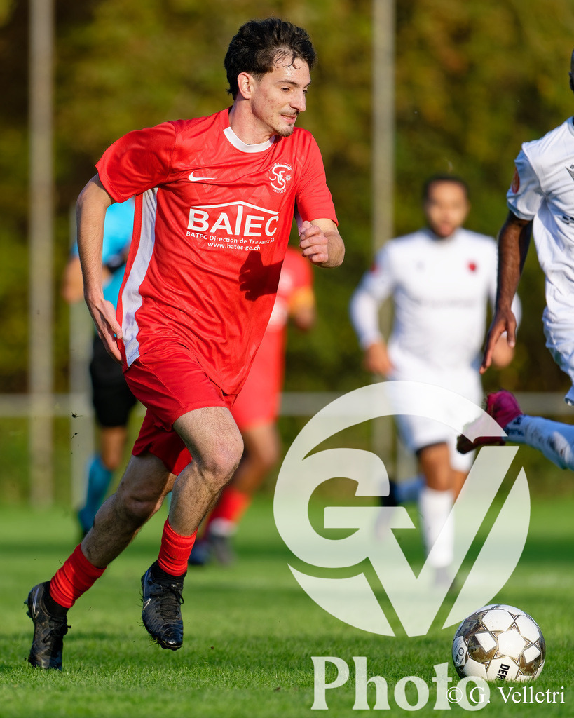 DZ9_1463 | Velletri Photo