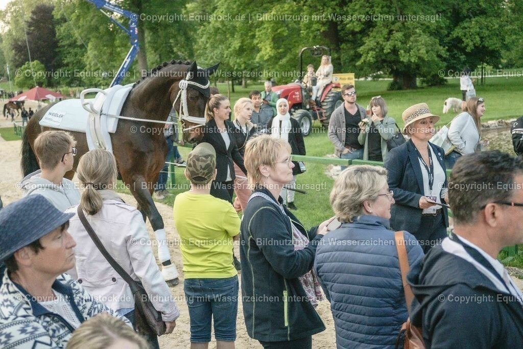 20230527_Voltigieren_NASPA_Flutlicht_0116 | equistock