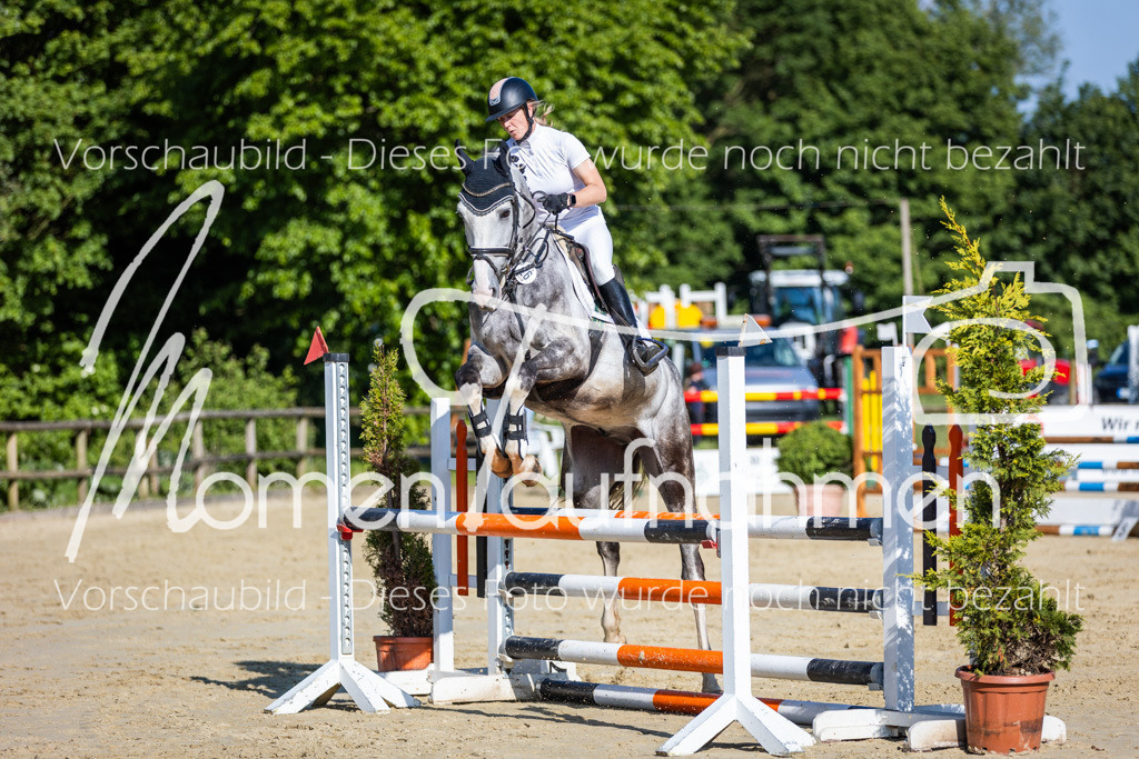 Donop24-ASpr-090 | MomenTaufnahmen Pferdesportfotos