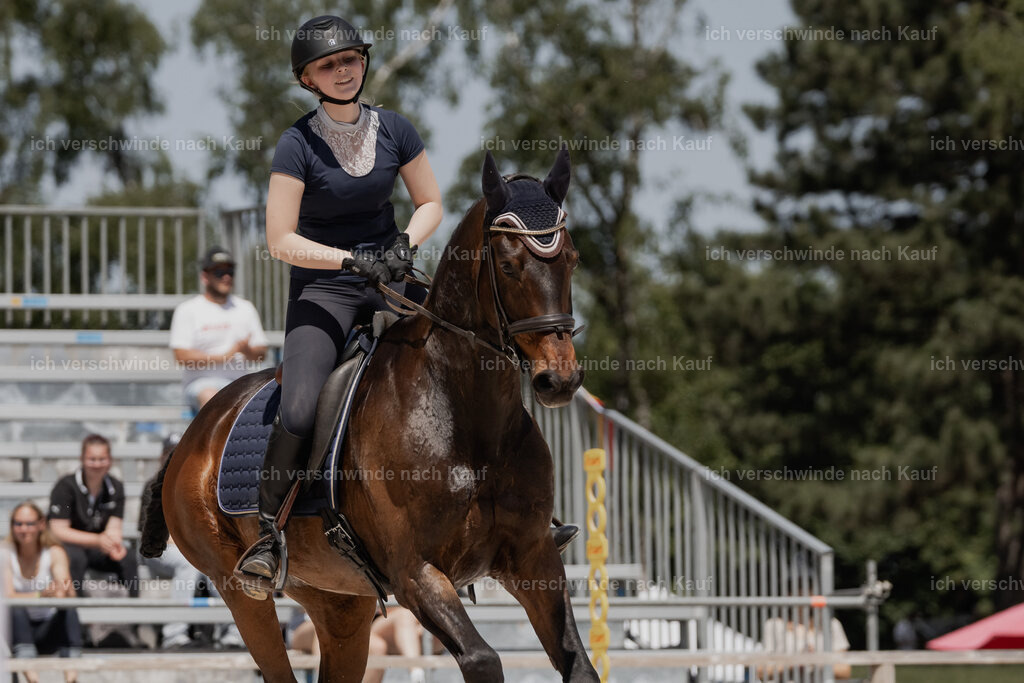 WE_SP_Stoib_333_PI2025_2048 | Pferd International München 2025