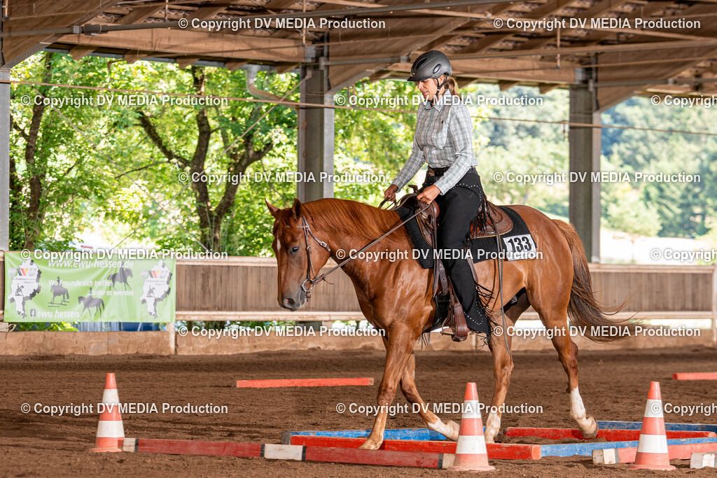 Erbach Tag 2-682 | dv-media-shop - Realisiert mit Pictrs.com