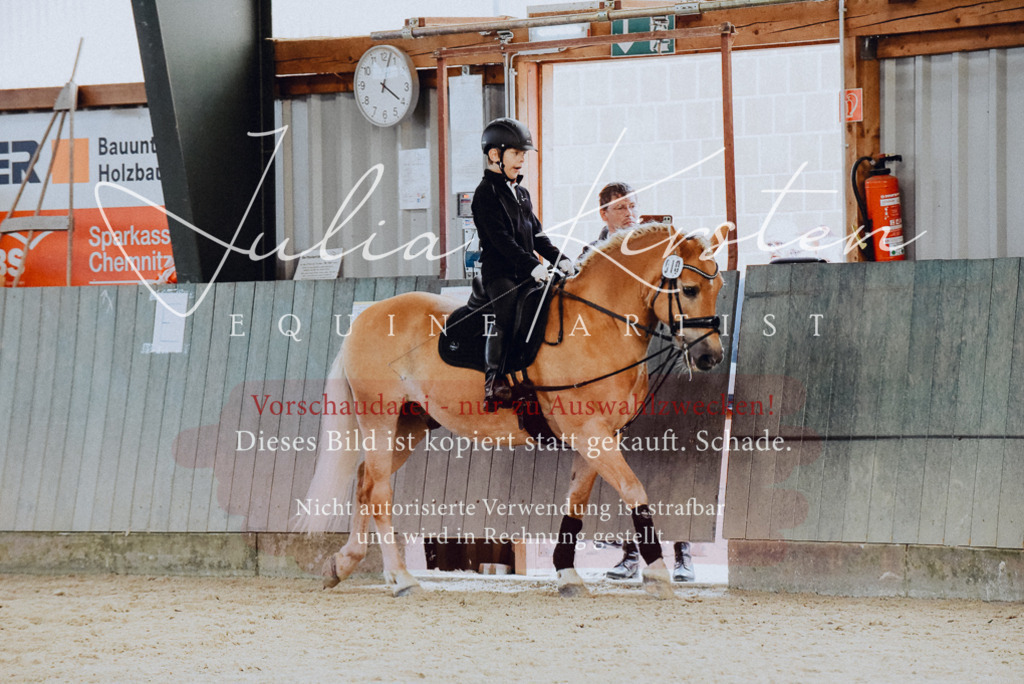 DSC_7334 | Pferde- und Turnierfotografie in Westsachsen. Pferdeportraits, Auftragszeichnungen und intuitive Kunst.