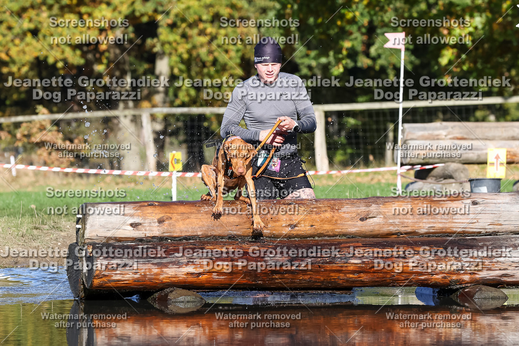 Dog Paparazzi - Strongdog 10-25-8891 | Dog Paparazzi Jeanette Grottendiek Fotografie & Videografie - Realisiert mit Pictrs.com