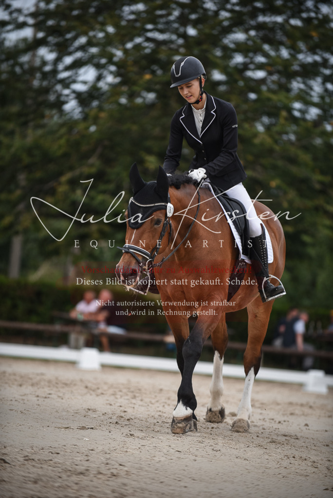 DSC_8290 | Pferde- und Turnierfotografie in Westsachsen. Pferdeportraits, Auftragszeichnungen und intuitive Kunst.