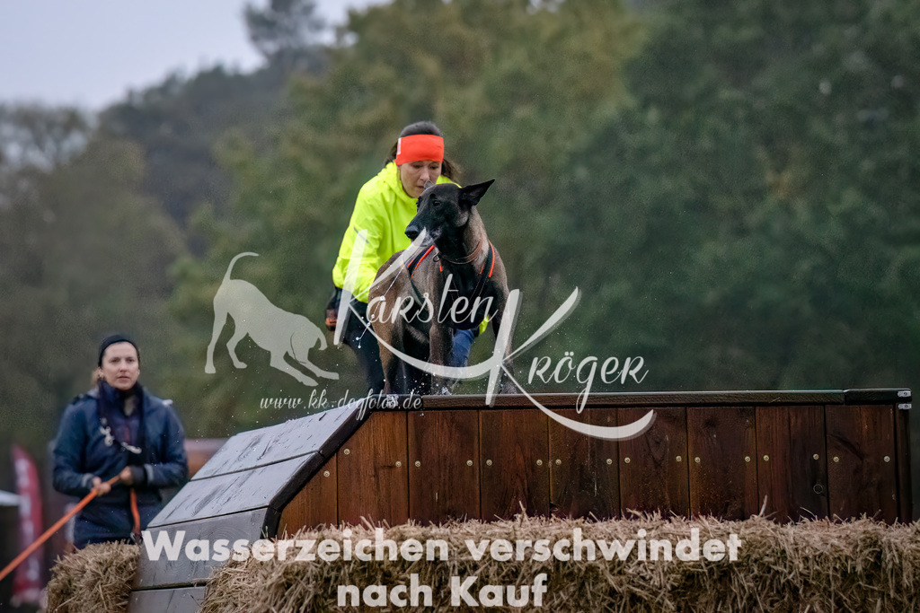 0809-_ZZ90476-Bearbeitet-Bearbeitet | kk-dogfotos