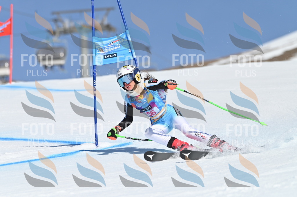 BGV_8649 | holidayphoto