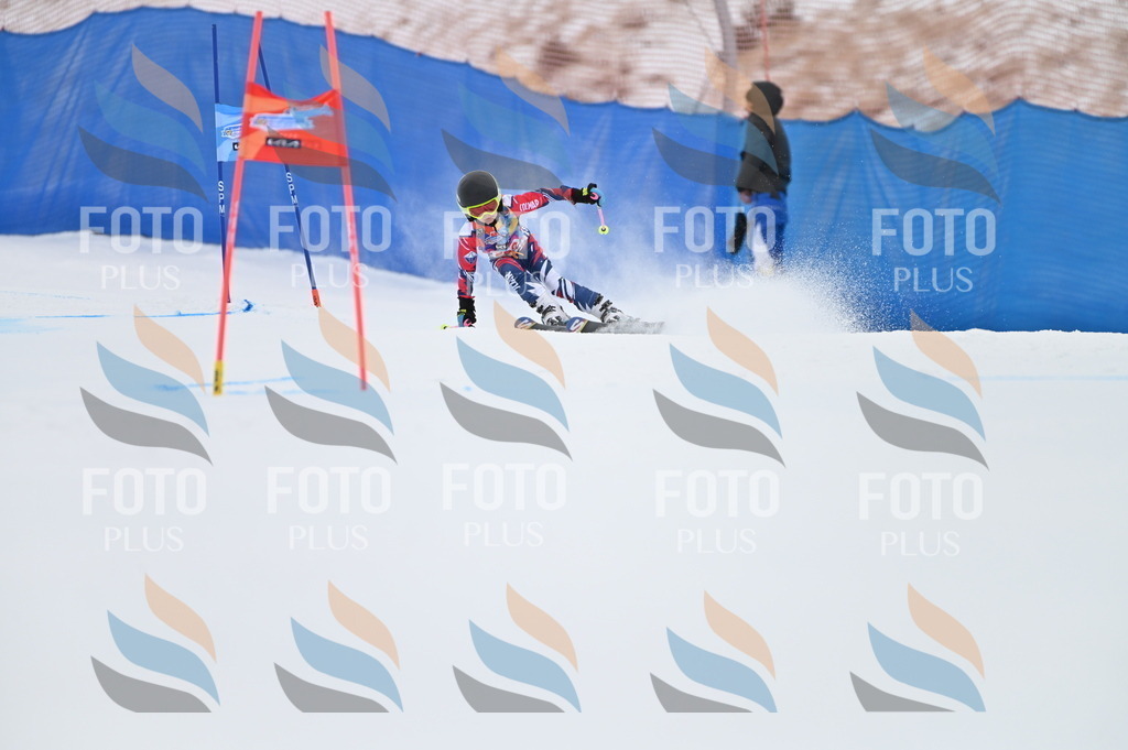 BGV_3130 | holidayphoto