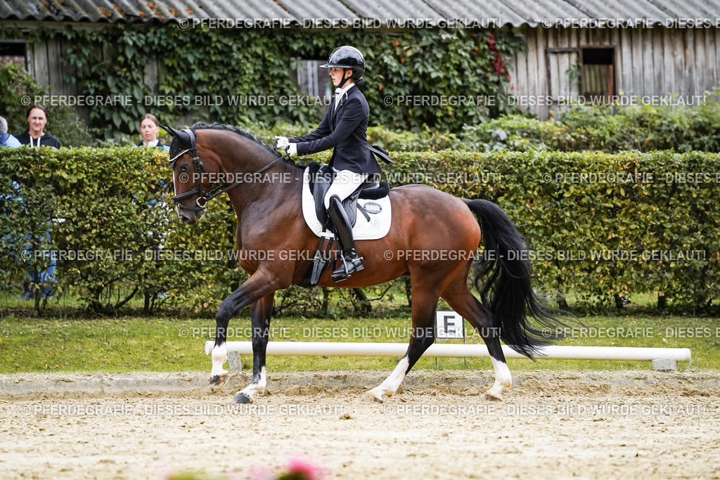 DSC07845 | Pferdegrafie