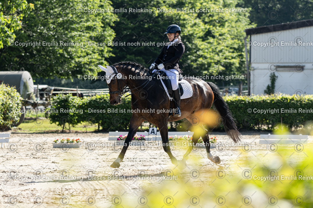 CL5A7006 | Emilia Reinking Fotografie - Realisiert mit Pictrs.com