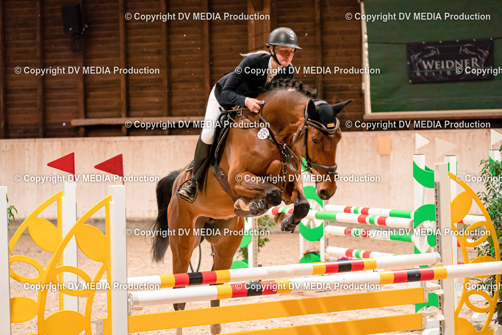 Springen Tag 1-286 | dv-media-shop - Realisiert mit Pictrs.com