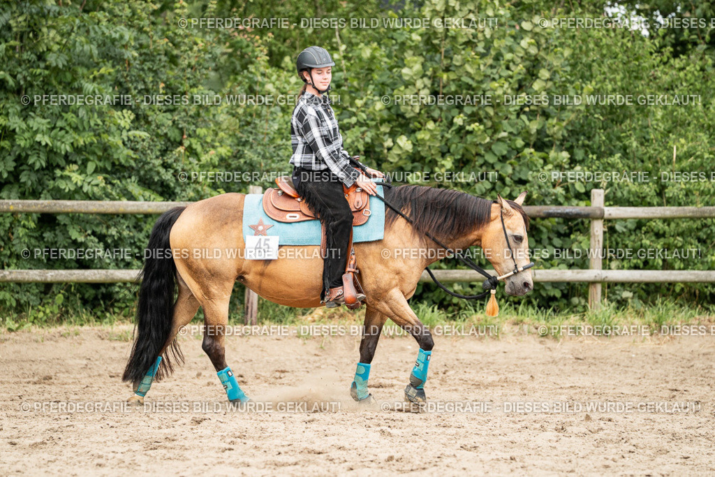 DSC03997 | Pferdegrafie