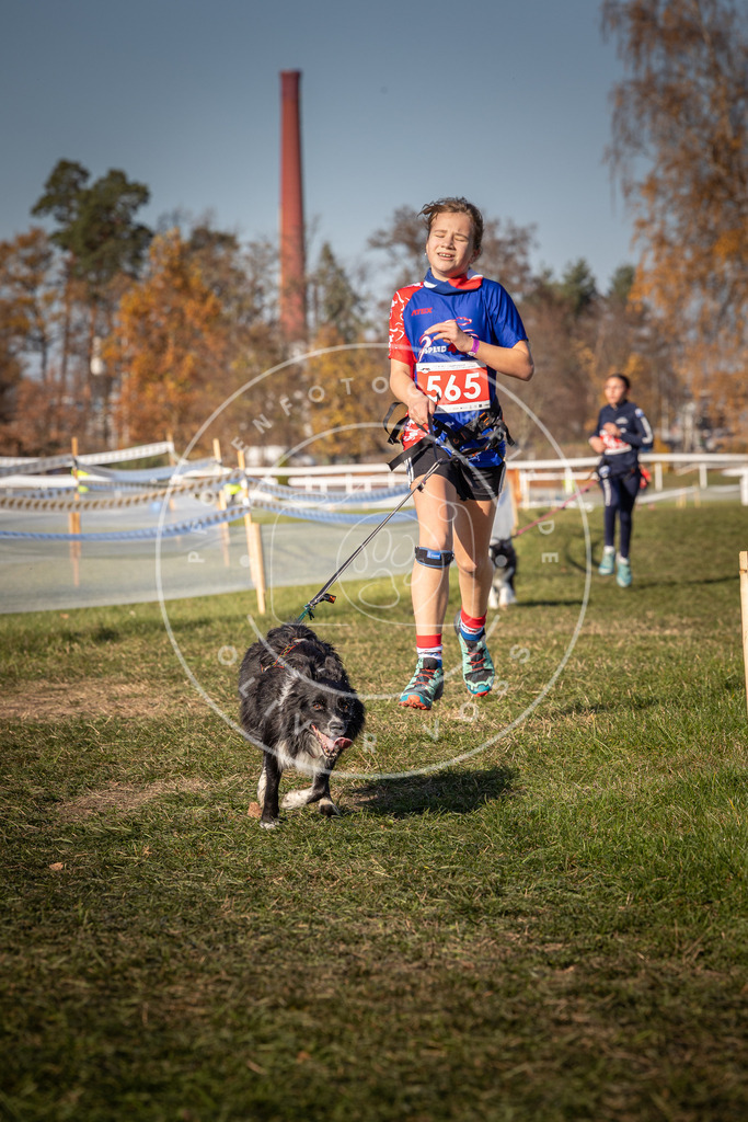 CaniXpix_0L8A7927 | Hundefotografie, Tierfotograf, Pfotenfotografie, Fotoshooting Hund, Hunde Portrait, Hundesport, Hundeportraits, Heideshooting, Hunde, Sportfotograf, Hundefotograf, Turnierhundsport, THS,  - Realisiert mit Pictrs.com