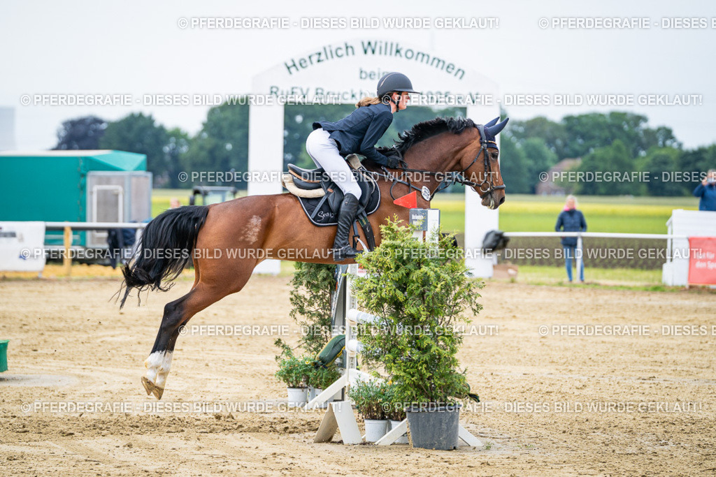 DSC04952 | Pferdegrafie