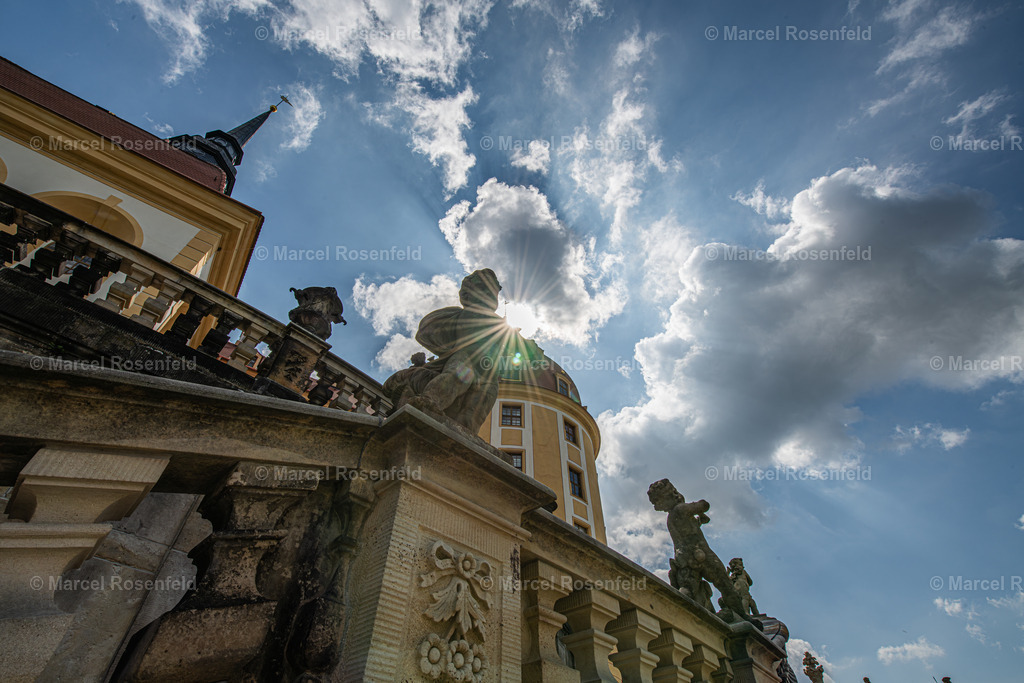 _DSC5407-Verbessert-RR | foto-rosenfeld