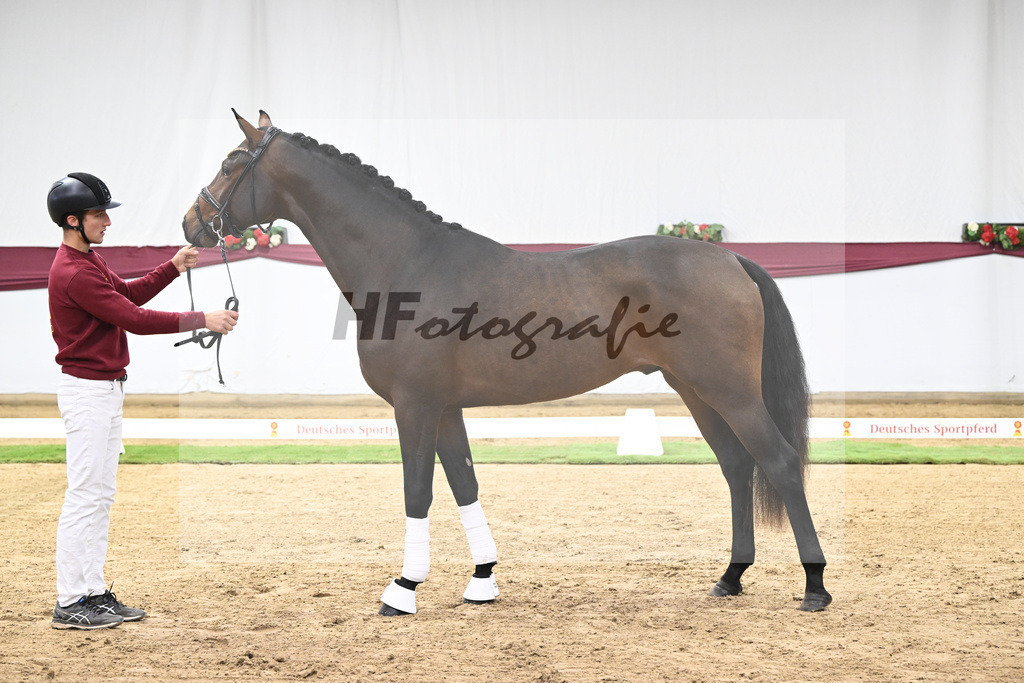 Kat-Nr. 123 Elastic x Belissimo M_Limbecker GnbH u Co. KG_47254052 | hf-fotografie - Realisiert mit Pictrs.com