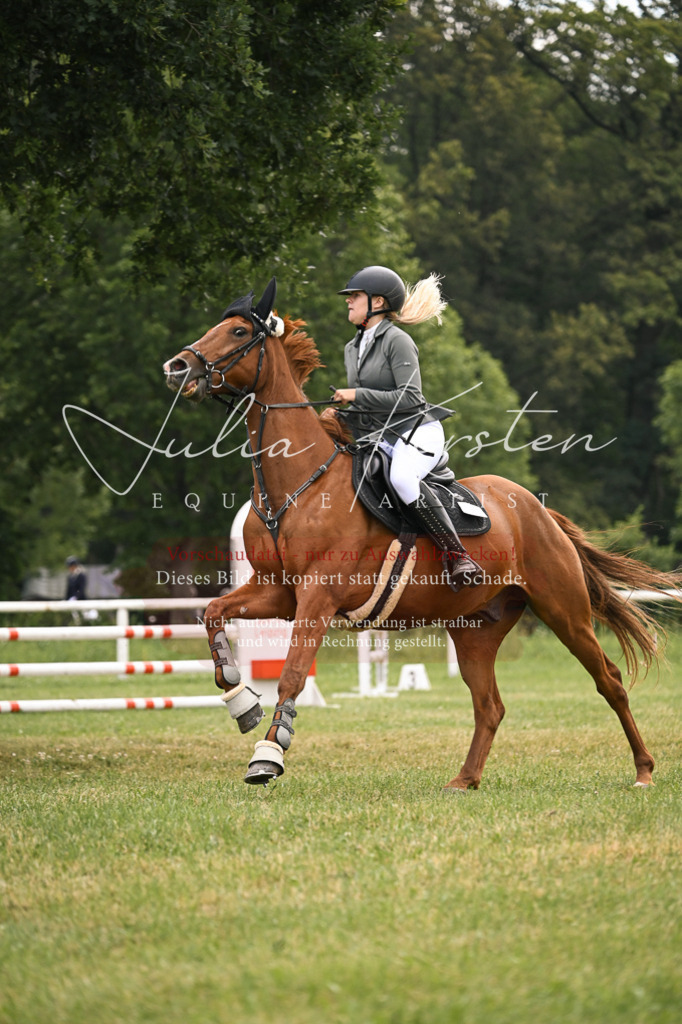 DSC_9117 | Pferde- und Turnierfotografie in Westsachsen. Pferdeportraits, Auftragszeichnungen und intuitive Kunst.