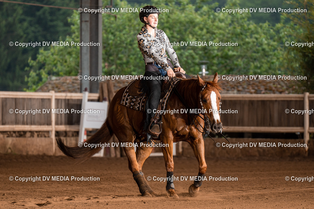 Erbach Tag 3-871 | dv-media-shop - Realisiert mit Pictrs.com