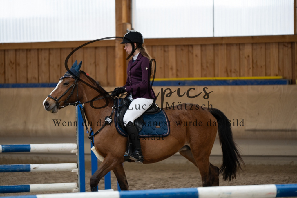 A7V00642 | Pferdefotograf