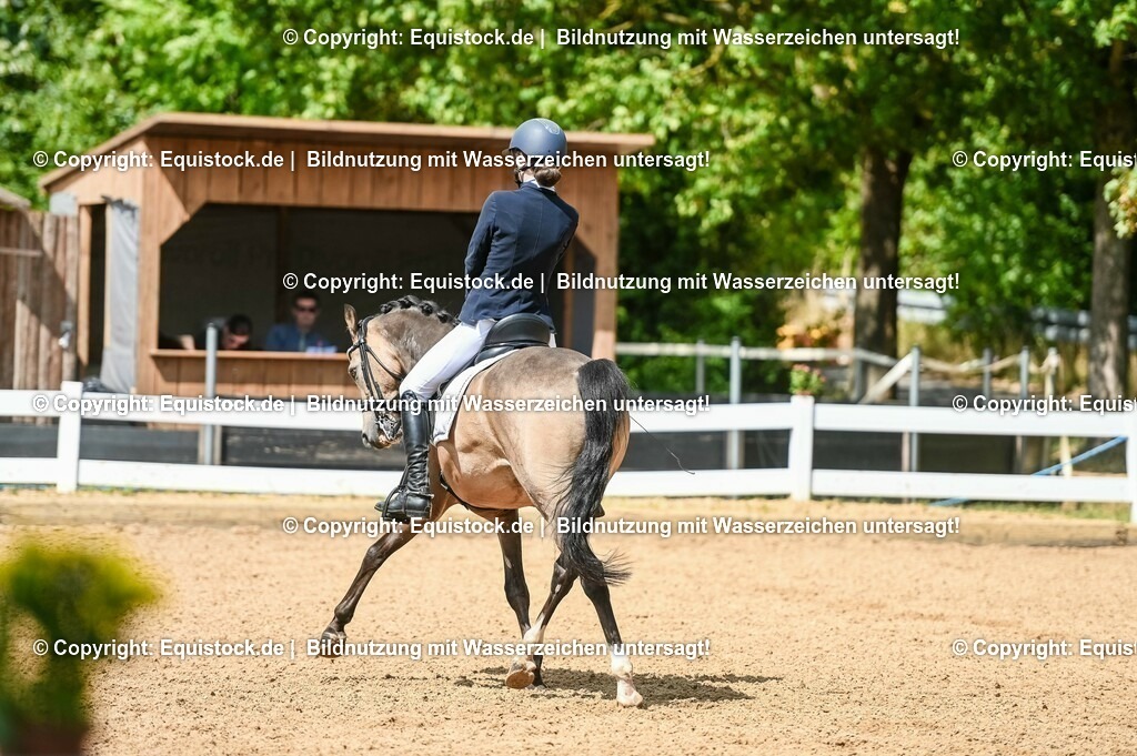 20230716_01_Dressurprüfung Kl.M_0210 | equistock