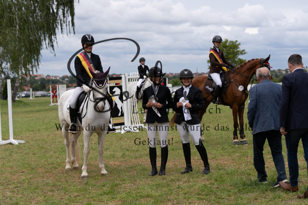 A7V06114 | Pferdefotograf