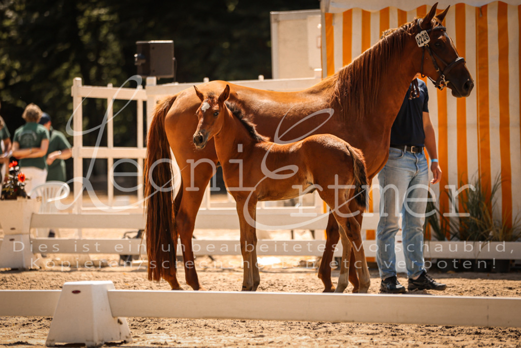 03.DoAB00051 | Leoni Ertmer Photography - Realisiert mit Pictrs.com