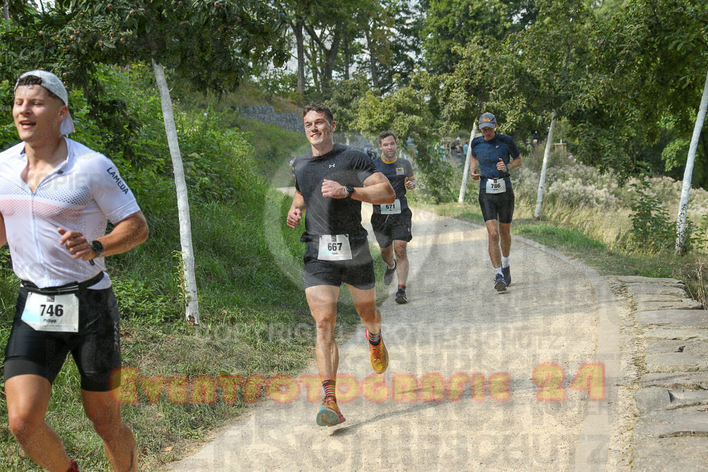 250824_1443_EX1_7296 | Sportfotografie im Rhein-Sieg Kreis, Köln, Bonn, NRW, Rheinland Pfalz, Hessen, etc. Unser Tätigkeitsfeld umfasst den Laufsport vom Volkslauf über den Marathon, Duathlon, Triathon bis zum Ultralauf wie Kölnpfad Ultra oder Schindertrail.